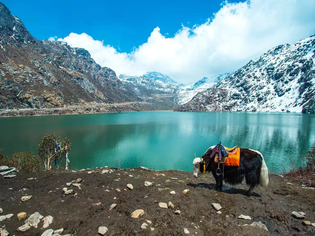 Gangtok Sikkim Tour
